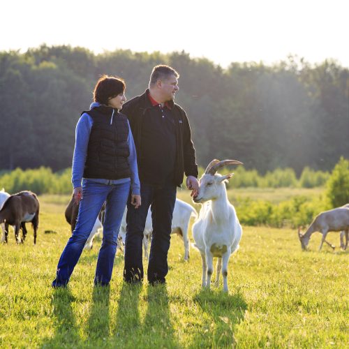 Kozia Farma Złotna